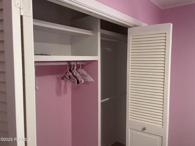 view of closet