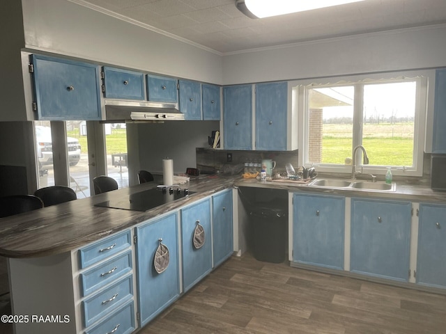 kitchen featuring ornamental molding, a peninsula, blue cabinets, black electric cooktop, and a sink