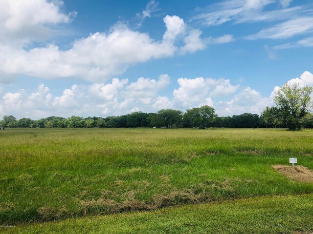 LOT5 Rodeo Dr Unit 5, Opelousas, LA 70570 - photo 4