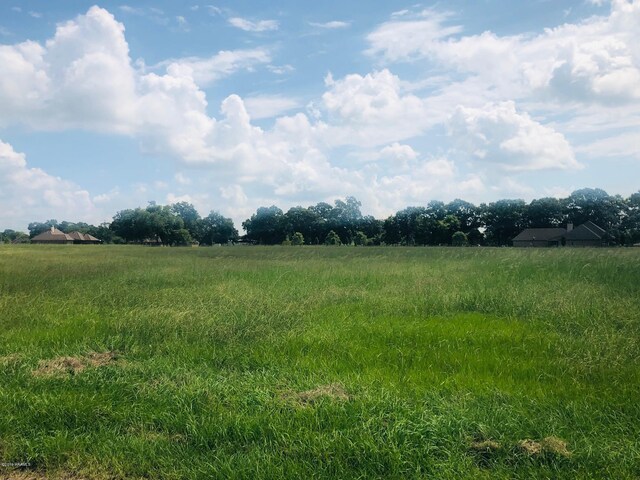 LOT5 Rodeo Dr Unit 5, Opelousas, LA 70570 - photo 8