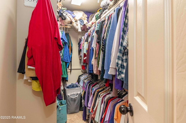 spacious closet featuring carpet floors