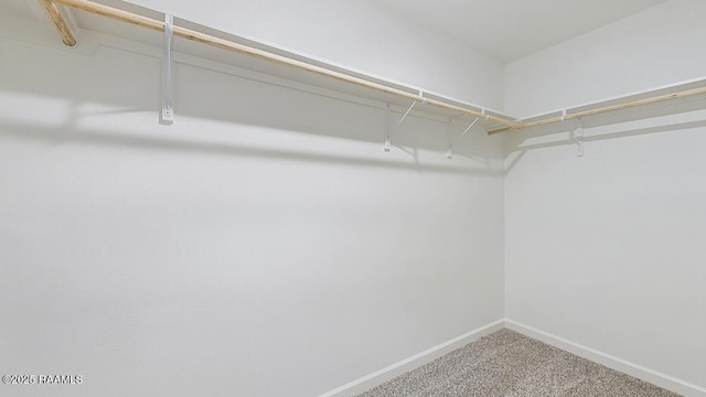 spacious closet with carpet flooring