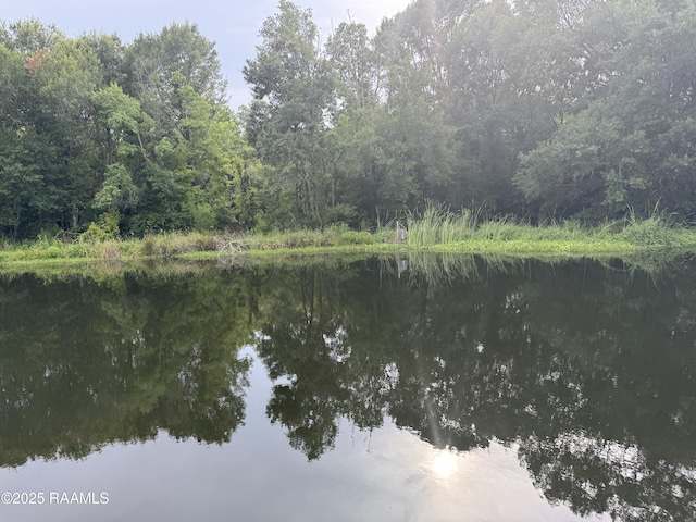 water view with a wooded view