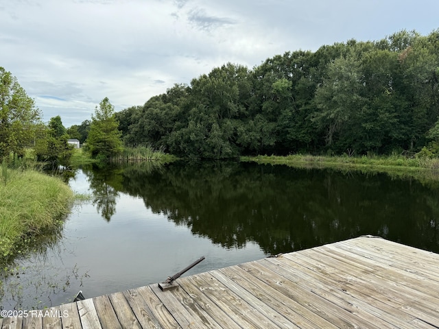 view of dock with a water view