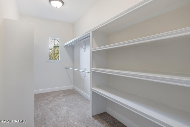 walk in closet featuring carpet