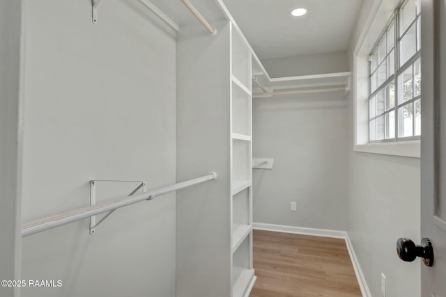 walk in closet featuring wood finished floors