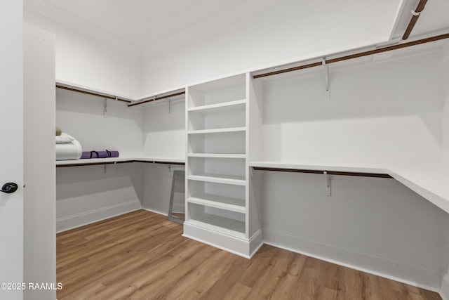 303 Canary Palm Way, Youngsville, LA 70592 - spacious closet with light wood finished floors