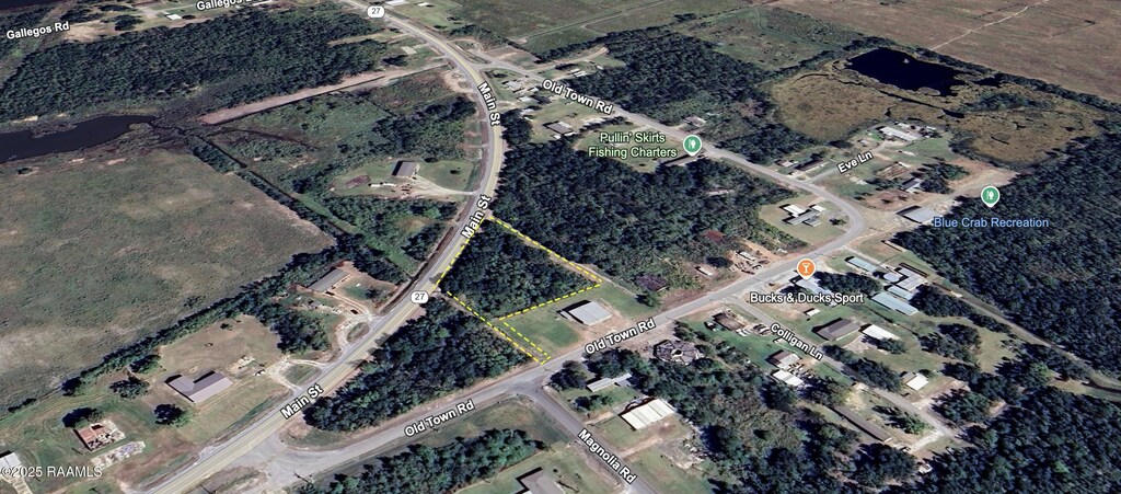 000 Old Town Rd, Hackberry, LA 70645 - photo 1