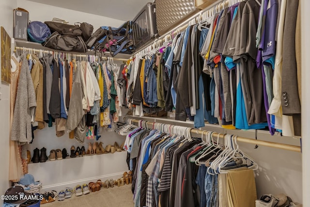 114 Marigold Ln, Maurice, LA 70555 - walk in closet featuring carpet