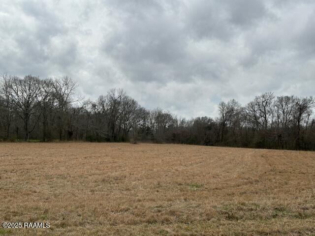 Grand Prairie Hwy, Washington, LA 70589 - photo 3