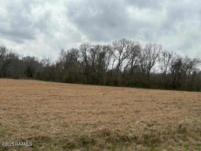 Grand Prairie Hwy, Washington, LA 70589 - photo 5