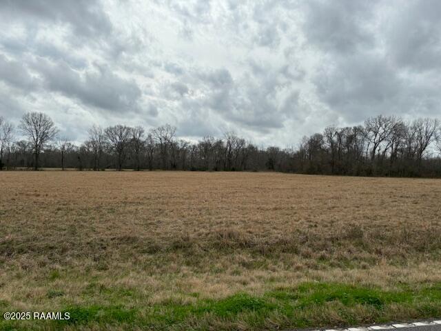 Grand Prairie Hwy, Washington, LA 70589 - photo 6