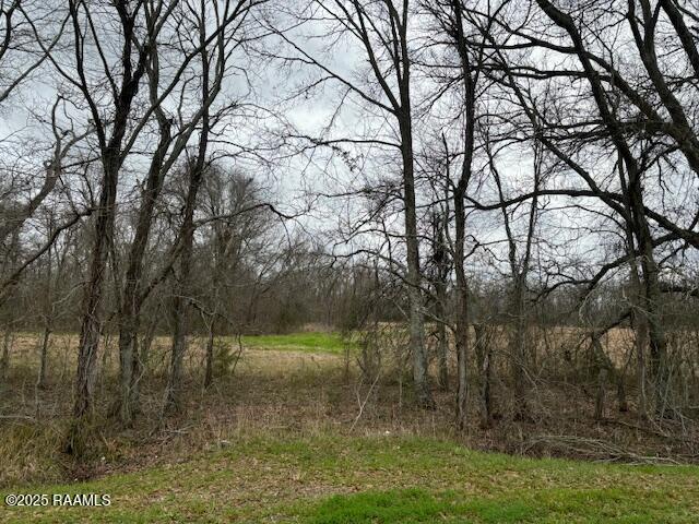 Grand Prairie Hwy, Washington, LA 70589 - photo 7