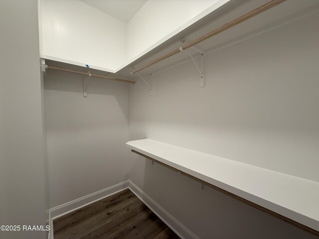 205 Keystone Dr, Scott, LA 70583 - walk in closet with dark wood-style flooring