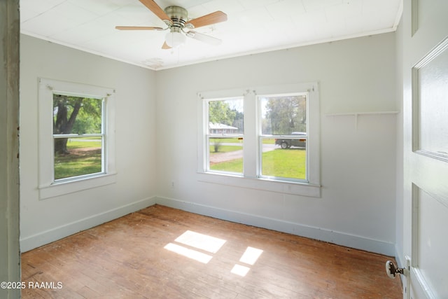 1193 Bordelon Rd, Breaux Bridge, LA 70517 - photo 10