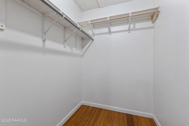 spacious closet featuring wood finished floors