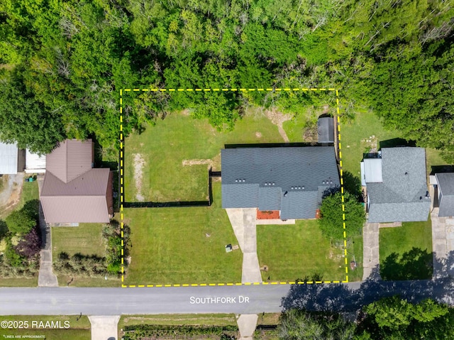 bird's eye view