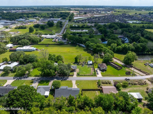 bird's eye view
