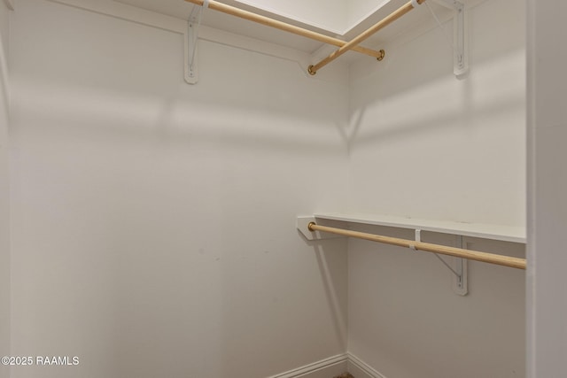 view of walk in closet