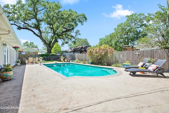 200 Sandager Ave, Jeanerette, LA 70544 - view of swimming pool featuring a fenced in pool, a patio, and a fenced backyard