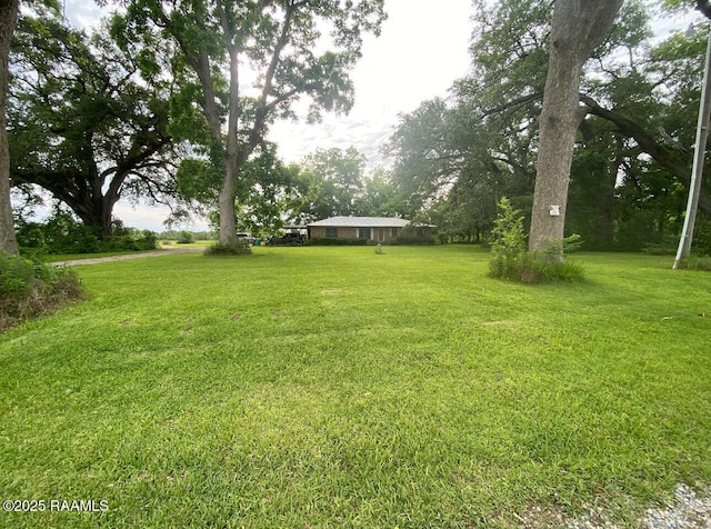 207 Menard Rd, Sunset, LA 70584 - view of green lawn