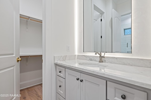 207 Sunset Palm Ct, Youngsville, LA 70592 - bathroom with vanity, wood finished floors, and a spacious closet