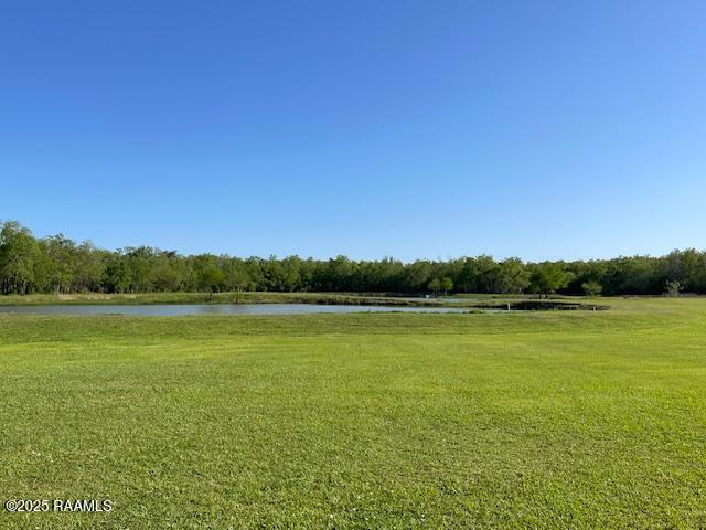 view of grassy yard featuring a water view