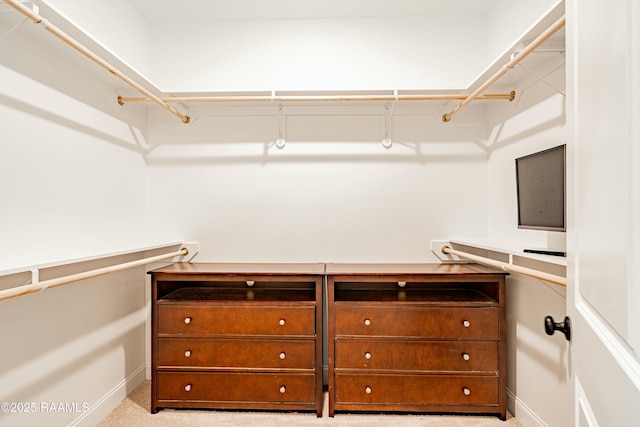 walk in closet with light carpet