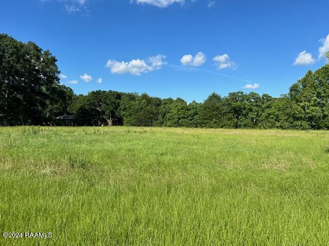 1450 E Laurel Ave, Eunice, LA 70535