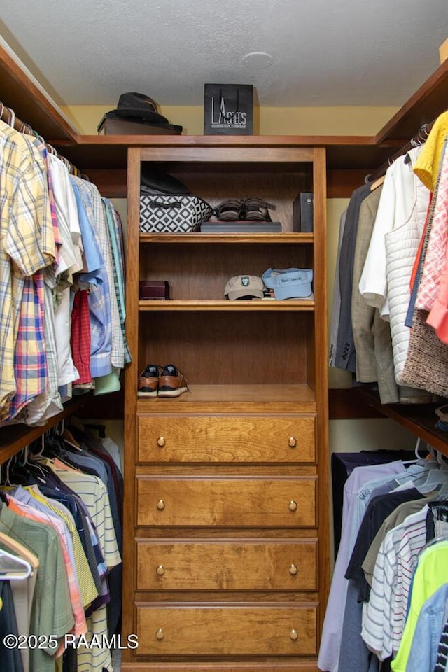 view of spacious closet