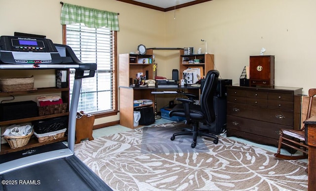 carpeted office featuring ornamental molding