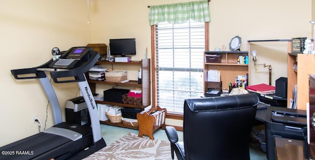 workout room with carpet floors