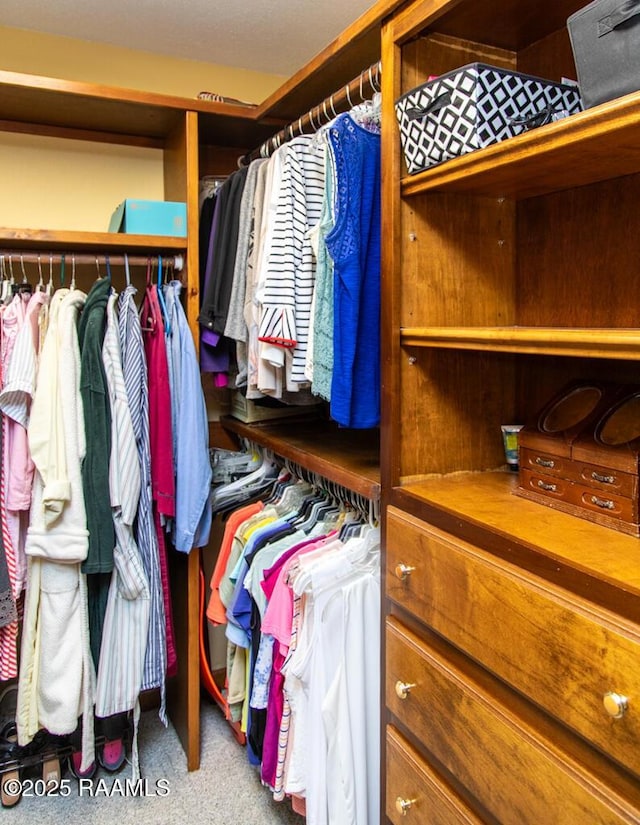 spacious closet featuring carpet