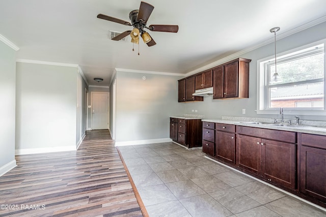 kitchen with a sink, baseboards, a ceiling fan, and crown molding