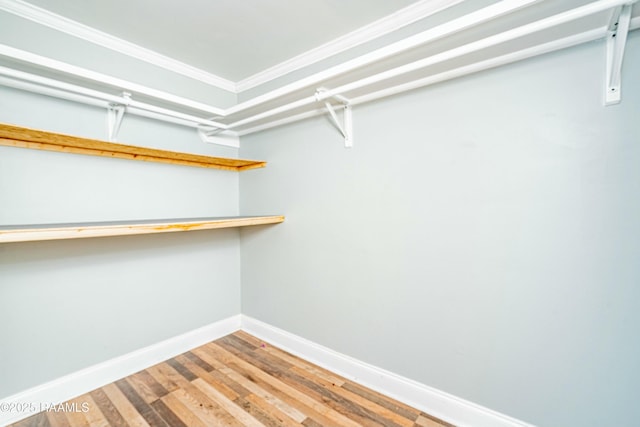 walk in closet featuring wood finished floors