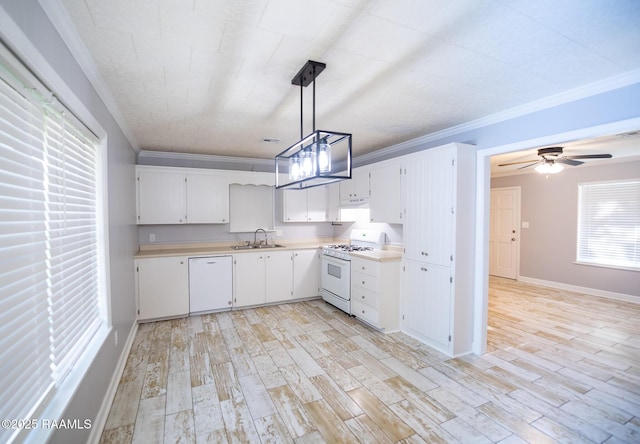 kitchen featuring a sink, ornamental molding, light countertops, light wood-type flooring, and white appliances