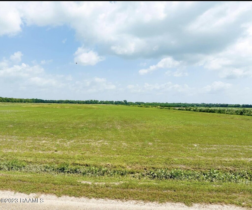 TBD Trudell Ln Unit 8, Basile, LA 70515 - photo 1