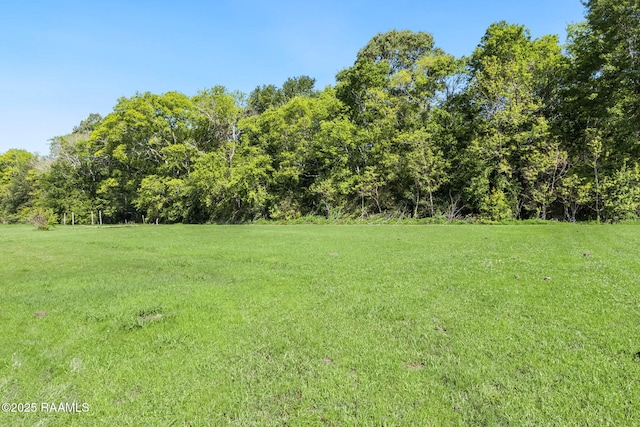 197 John Paul Dr, Opelousas, LA 70570 - view of yard