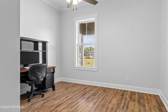 office with wood finished floors, baseboards, crown molding, and ceiling fan