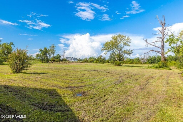 7848 Lake St, Lake Charles, LA 70605 - view of yard featuring a rural view