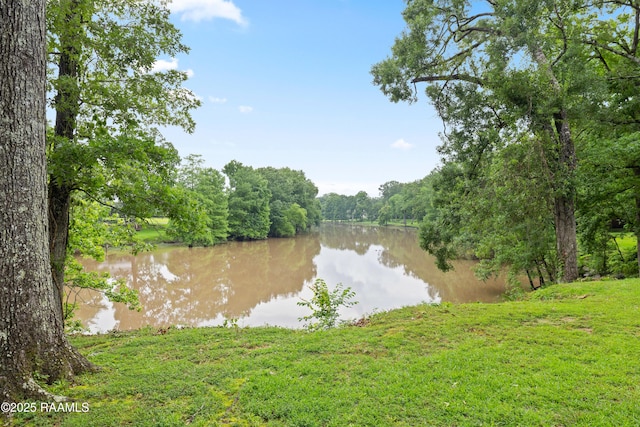 1 Eureka Plantation Rd, Lafayette, LA 70508 - water view with a heavily wooded area