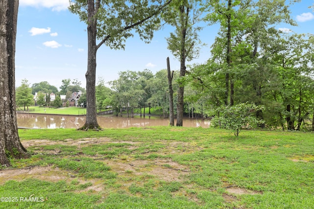 1 Eureka Plantation Rd, Lafayette, LA 70508 - view of grassy yard with a water view