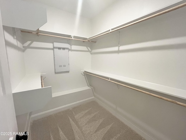 300 Ethereal St, Youngsville, LA 70592 - photo 6