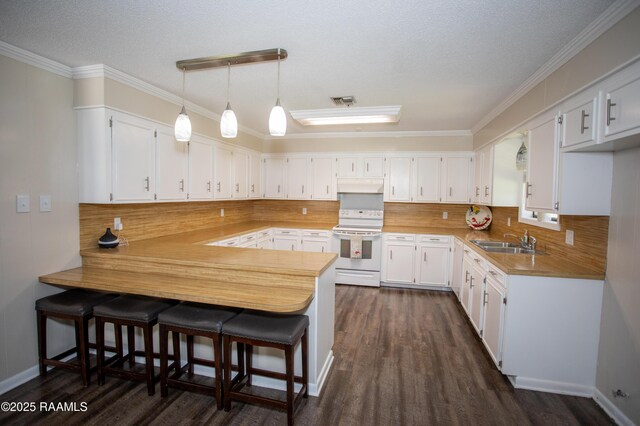140 Saint Leo St, Opelousas, LA 70570 - kitchen featuring a peninsula, light countertops, under cabinet range hood, electric stove, and a sink