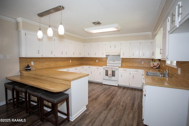 140 Saint Leo St, Opelousas, LA 70570 - kitchen featuring backsplash, white range with electric cooktop, a peninsula, and under cabinet range hood