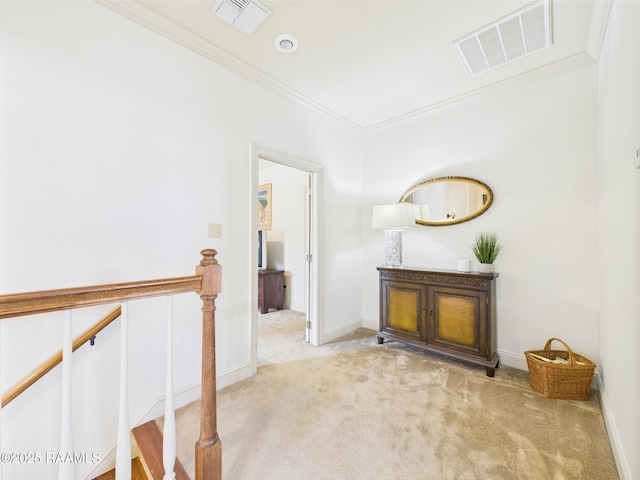 111 Croft Row, Lafayette, LA 70503 - hallway with carpet floors, ornamental molding, baseboards, and visible vents