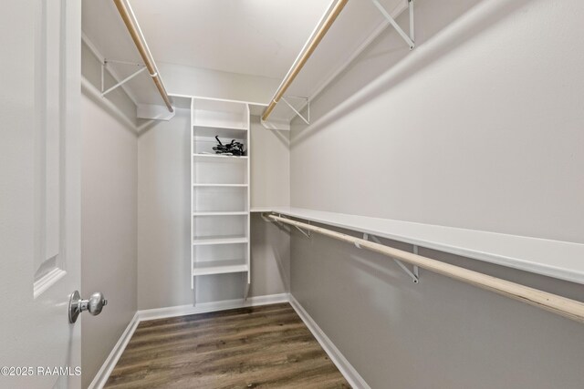 701 S College Rd Unit 303, Lafayette, LA 70503 - walk in closet with dark wood-type flooring