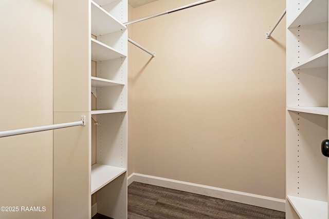 walk in closet featuring wood finished floors