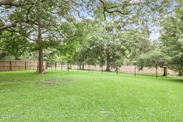 4615 Loreauville Rd, New Iberia, LA 70563 - view of yard