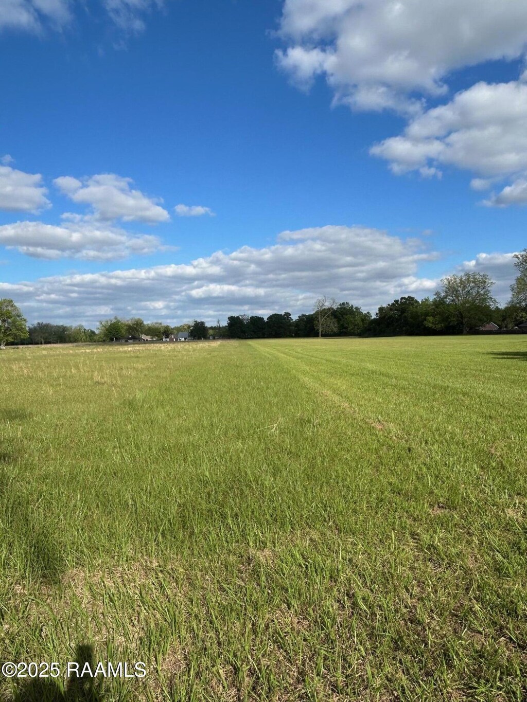 1000 Blk Lajaunie Rd, Lafayette, LA 70507